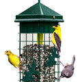 SQUIRREL SOLUTION 200 WILD BIRD FEEDER 3.4 LB CAP FOREST GREEN