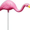 BLOEM MINI PINK FLAMINGO SM-2 PK