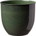BLOEM CANYON METAL PLANTER 8 IN BASIL