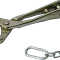 BULL LEAD W/CHAIN
