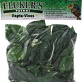 REPTA VINE POTHOS 6 FT GREEN