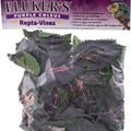 REPTA VINE PURPLE COLEUS 6 FT PURPLE