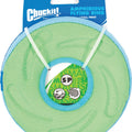 CHUCKIT! ZIPFLIGHT SM ASSORTED