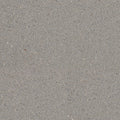 CARIBSEA REPTILITE ALL NATURAL CALCIUM SUBSTRATE 10 LB SMOKEY SANDS