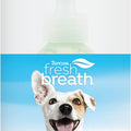 FRESH BREATH CLEAN TEETH ORAL CARE GEL 4 OZ ORIGINAL