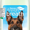 FRESH BREATH WATER ADDITIVE PLUS DIGESTIVE SUPPORT 16 OZ