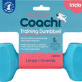 COACHI TRAIN & PLAY DUMBBELL LG BLUE