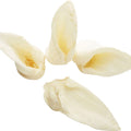 REDBARN NATURALS LAMB EARS .5 OZ