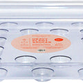 EVERSPRING DESIGNER HEAVY SQUARE PLANT SAUCER 16 IN CLEAR