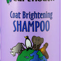 EARTHBATH COAT BRIGHTENING PET SHAMPOO 16 OZ LAVENDER