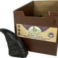 FIELDCREST FARMS BUFFALO HORNS LG