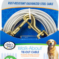 FOUR PAWS WALK-ABOUT TIE-OUT CABLE HEAVY WEIGHT 20 FT SILVER