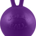 HORSEMEN'S PRIDE JOLLY BALL 10 IN PURPLE