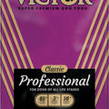 CLASSIC PROFESSIONAL DOG FOOD