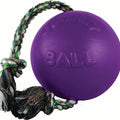 JOLLY PETS ROMP-N-ROLL BALL SM PURPLE