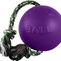 JOLLY PETS ROMP-N-ROLL BALL LG PURPLE