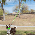 JOLLY PETS TREE TUGGER BUNGEE LG GREEN