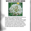 WHITE CLOVER SEED 1 LB