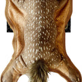 PAWPRINTZ SQUIRREL PLUSH DOG TOY