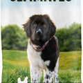 ULTIMATES LARGE BREED PUPPY FOOD 28 LB CHICKEN/RICE