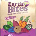 HOLISTIC EARTHBITES GRAIN FREE TREATS 10 OZ LAMB