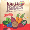 HOLISTIC EARTHBITES GRAIN FREE TREATS 10 OZ BISON