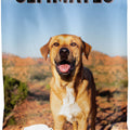 ULTIMATES ADVANCED NUTRITION ADULT DOG FOOD 28 LB BISON/RICE