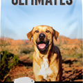 ULTIMATES ADVANCED NUTRITION ADULT DOG FOOD 5 LB BISON/RICE