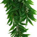 KOMODO BAMBOO CLIMBING PLANT MD - 16 IN GREEN/RED