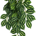 KOMODO TWO TONE CLIMBING PLANT MD - 16 IN GREEN/RED