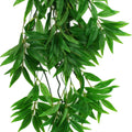 KOMODO BAMBOO CLIMBING PLANT LG - 24 IN GREEN/RED