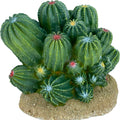 KOMODO CACTUS/BARREL CACTUS MD GREEN
