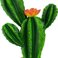 KOMODO CACTUS/FLOWER 9 IN GREEN