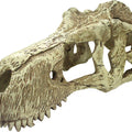 KOMODO T-REX SKULL XL NATURAL