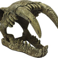 KOMODO SABERTOOTH SKULL LG NATURAL