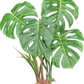 KOMODO MONSTERA STANDING PLANT 11.8 IN GREEN