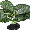 KOMODO STANDING VEIN PLANT 4 IN GREEN