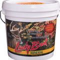 LUCKY BUCK MINERAL 20 LB APPLE