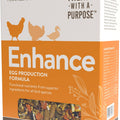FLOCKLEADER ENHANCE FUNCTIONAL POULTRY TREAT 1.5 LB