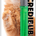 CAT INCREDIBUBBLES W/CATNIP 25 ML