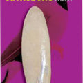 BIRDIE BASICS CUTTLEBONE LG