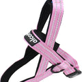 ALCOTT ROPE NORWEGIAN HARNESS MD BRIGHT PINK