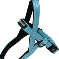 ALCOTT ROPE NORWEGIAN HARNESS LG BRIGHT BLUE
