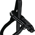 ALCOTT ROPE NORWEGIAN HARNESS XL BRIGHT BLACK