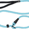ALCOTT SLIP ROPE LEASH 5FT X 3/4IN BLUE