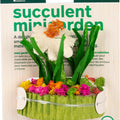 SUCCULENT MINIGARDEN 3.38X3.38X3.75