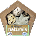 SMALL PENTAGON FORAGE N PLAY BOX