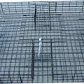 THE SQUIRRELINATOR LIVE SQUIRREL TRAP ONLY  BLACK