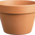 SOUTHERN PATIO AZALEA CLAY POT 8 IN TERRACOTTA