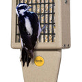 BIRD'S CHOICE RECYCLED PLASTICE TAIL PROP SUET FEE